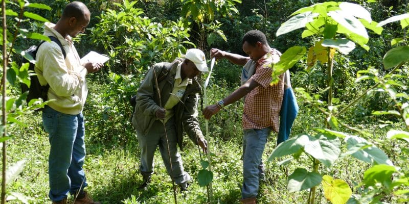 BENIN: UNDP and GEF allocate €8.6m to land restoration in 8 councils ©UN