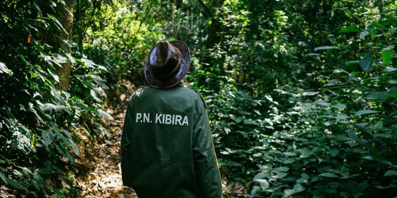 © PN KIBIRA BURUNDI : vers la protection de la biodiversité autour de Kibira et Rusizi