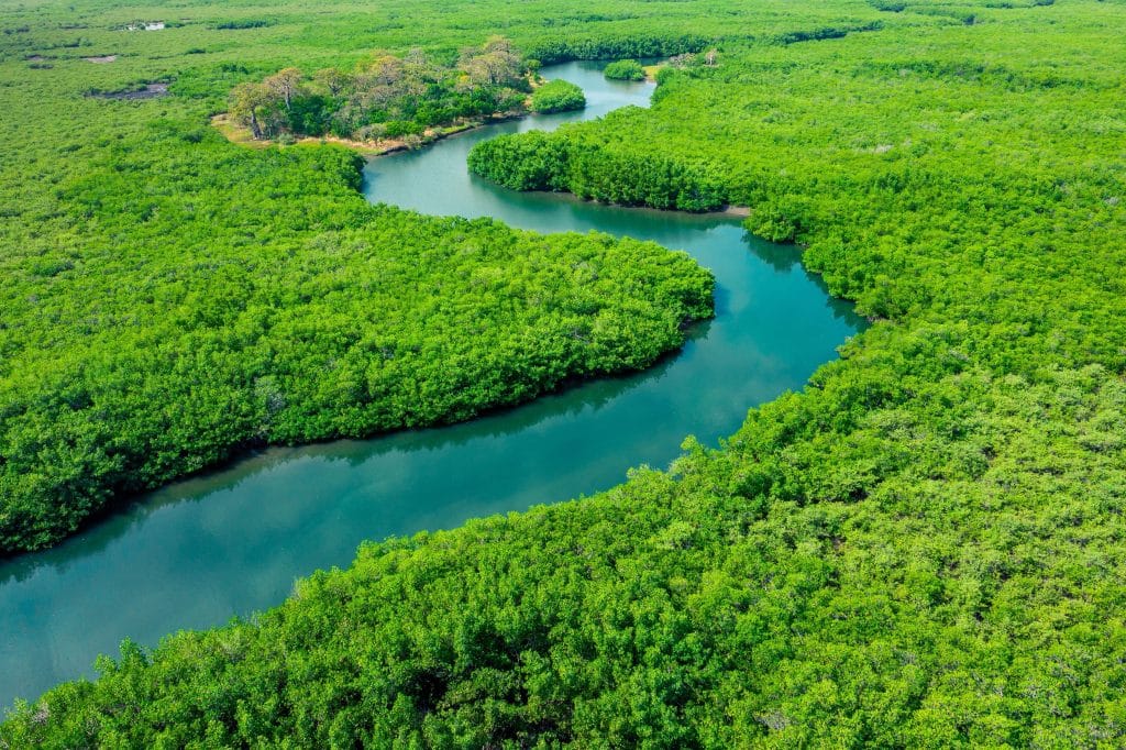 AFRIQUE : la prise en compte du capital naturel s’opère peu à peu ©Curioso.PhotographyShutterstock