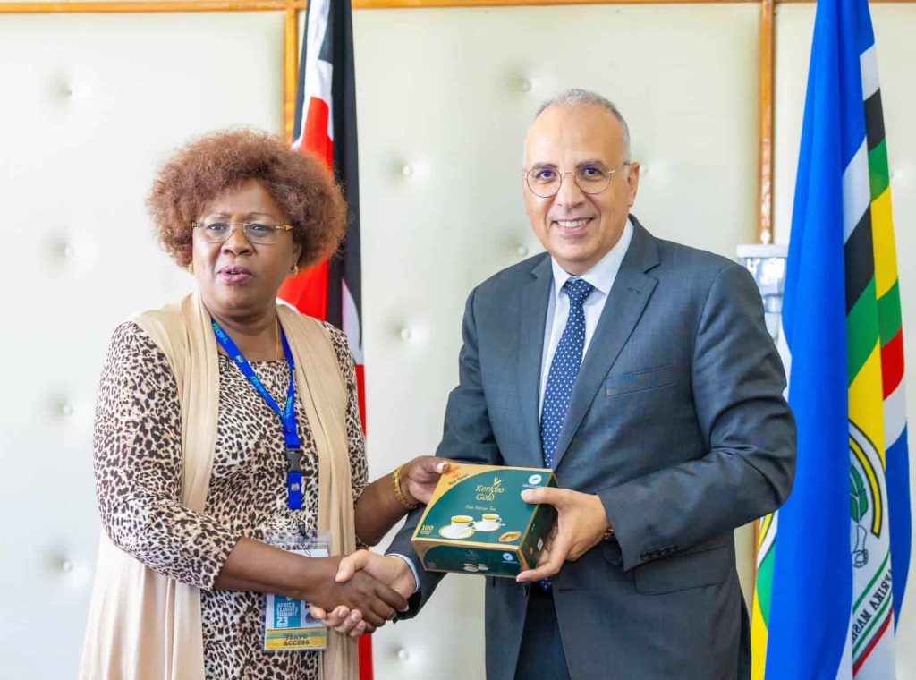 KENYA: Egyptian expertise to improve access to water in the face of drought©Kenyan Ministry of Water