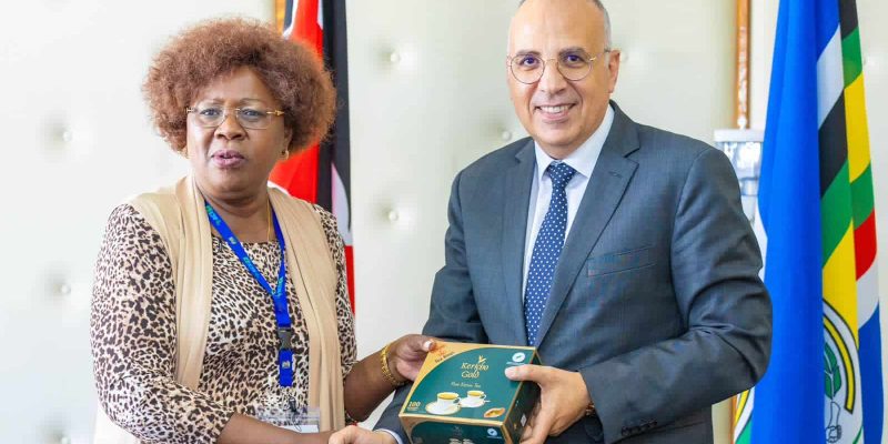 KENYA: Egyptian expertise to improve access to water in the face of drought©Kenyan Ministry of Water