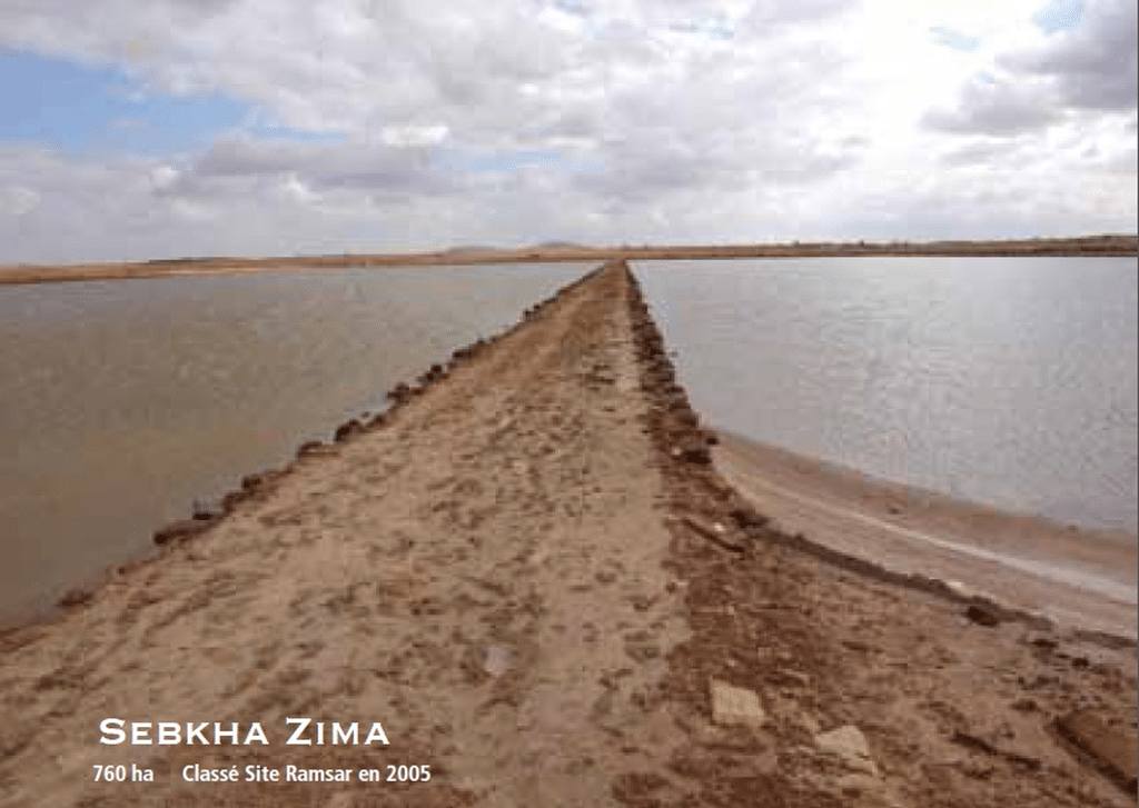 MAROC : des études en cours pour valoriser la zone humide de Sebkha Zima ©UNESCO