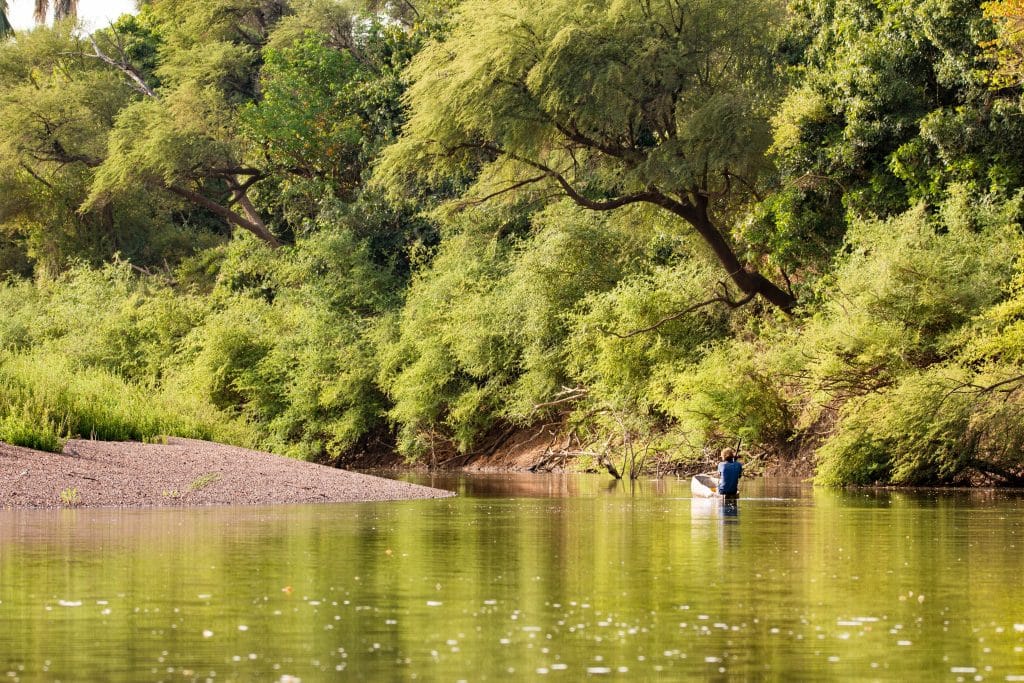 SENEGAL: warning in Kédougou of a worrying rise in the water level of the river Gambia © Evenfh/Shutterstock