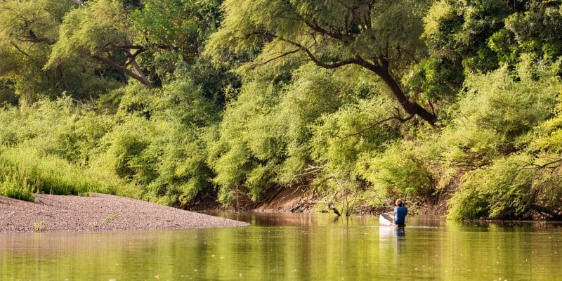 SÉNÉGAL : alerte à Kédougou face à la montée inquiétante des eaux du fFleuve Gambie © Evenfh/Shutterstock