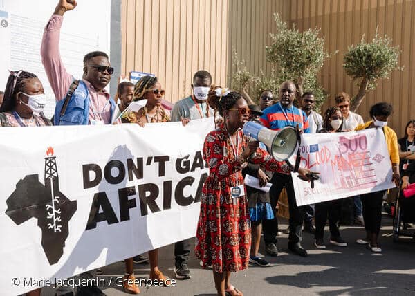 Sommet des 3 bassins : les ONG veulent des actions durant le conclave de Brazzaville @Greenpeace Afrique