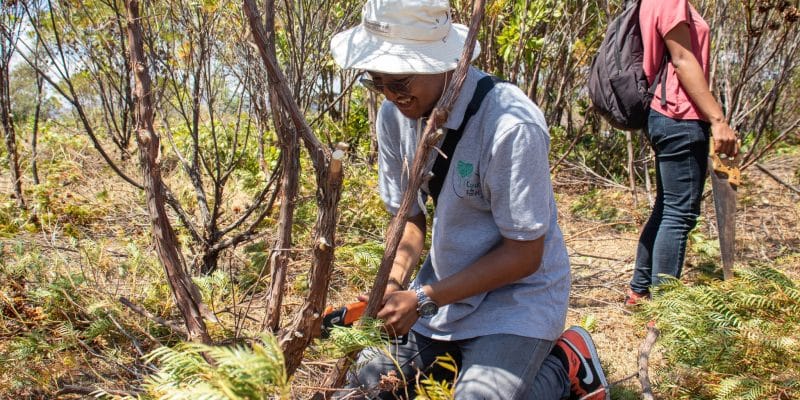 AFRICA: AFD honours its pledge to finance 27 green initiatives to the tune of €23m © Coeur de forêt association -Madagascar