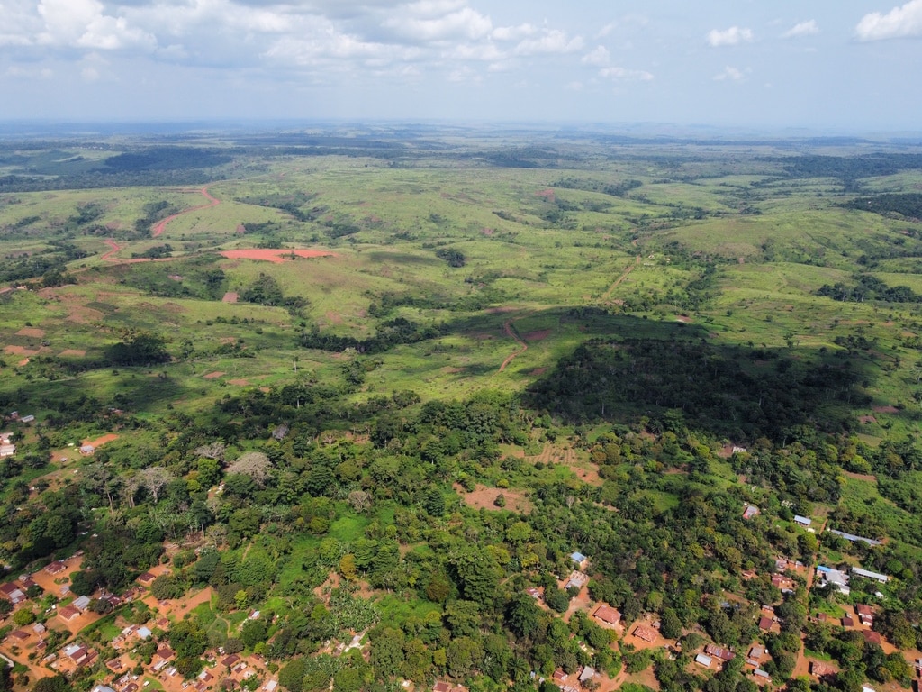 CONGO: oil company SNPC is to plant 50,000 hectares of trees on the Batéké Plateaux © AMNPIX/Shutterstock