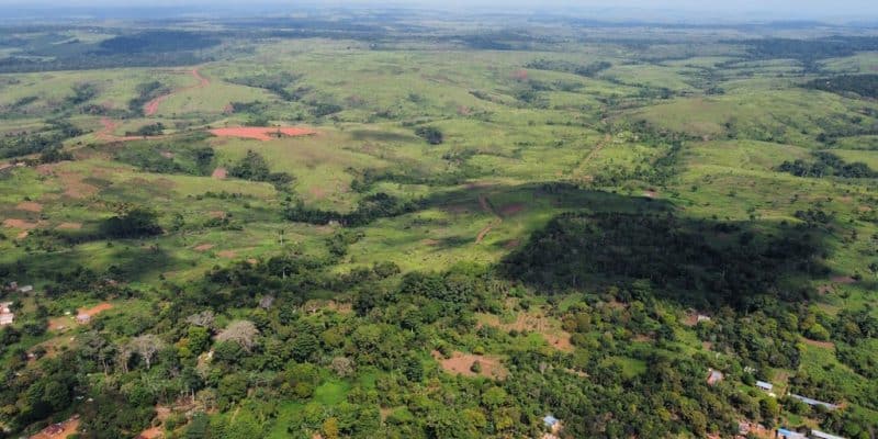 CONGO : le pétrolier SNPC va planter 50 000 hectares d’arbres sur les Plateaux Batéké © AMNPIX/Shutterstock