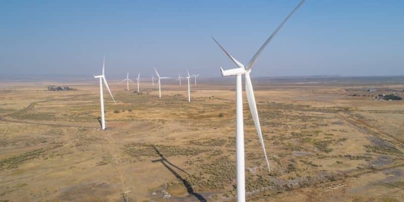 Wind energy: Africa's installed capacity is set to jump by 900% © txking/Shutterstock