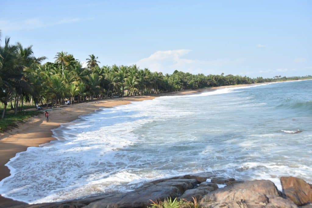 Ivory Coast: membership of "Rampao", a network of 9 countries protecting marine areas © at Ivory Coast's Ministry of the Environment and Sustainable Development