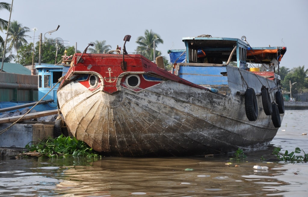 NIGERIA: Abuja tackles marine biofouling to preserve biodiversity©Christian Lévêque/IRD