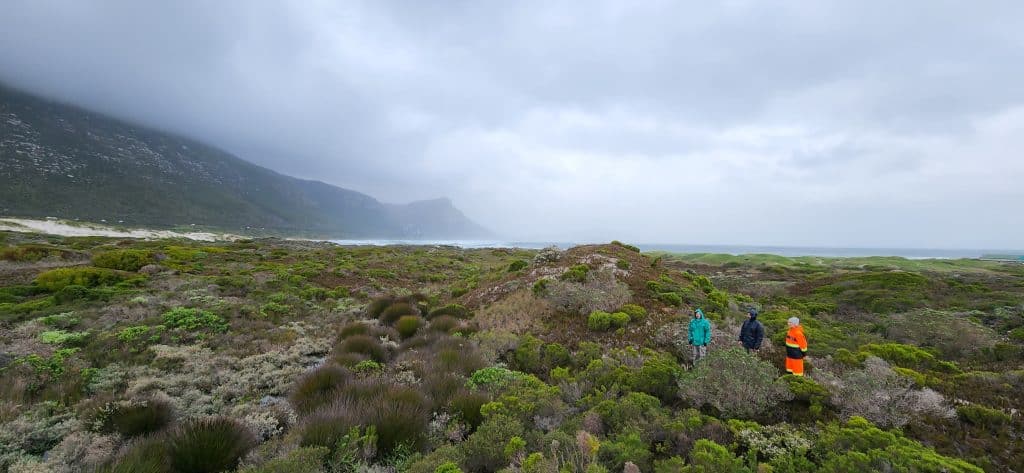 SOUTH AFRICA: Cape Town to create six nature reserves and renovate nine others ©Cape Town City