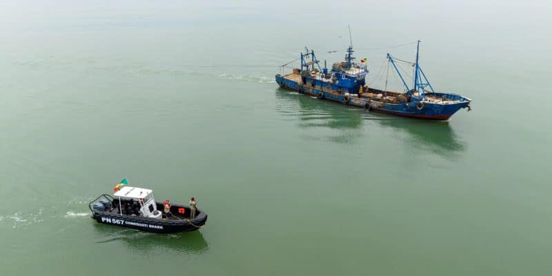 CONGO: the Conkouati-Douli park benefits from a marine extension of 2,900 km2 © Noé