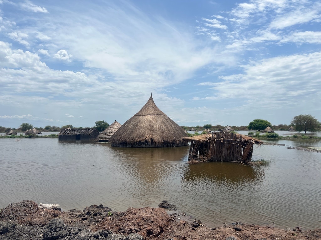 Finance climatique : en 2022, les BMD ont mobilisé 16 Md$ pour l’Afrique subsaharienne © rameesha bilal shah/ Shutterstock