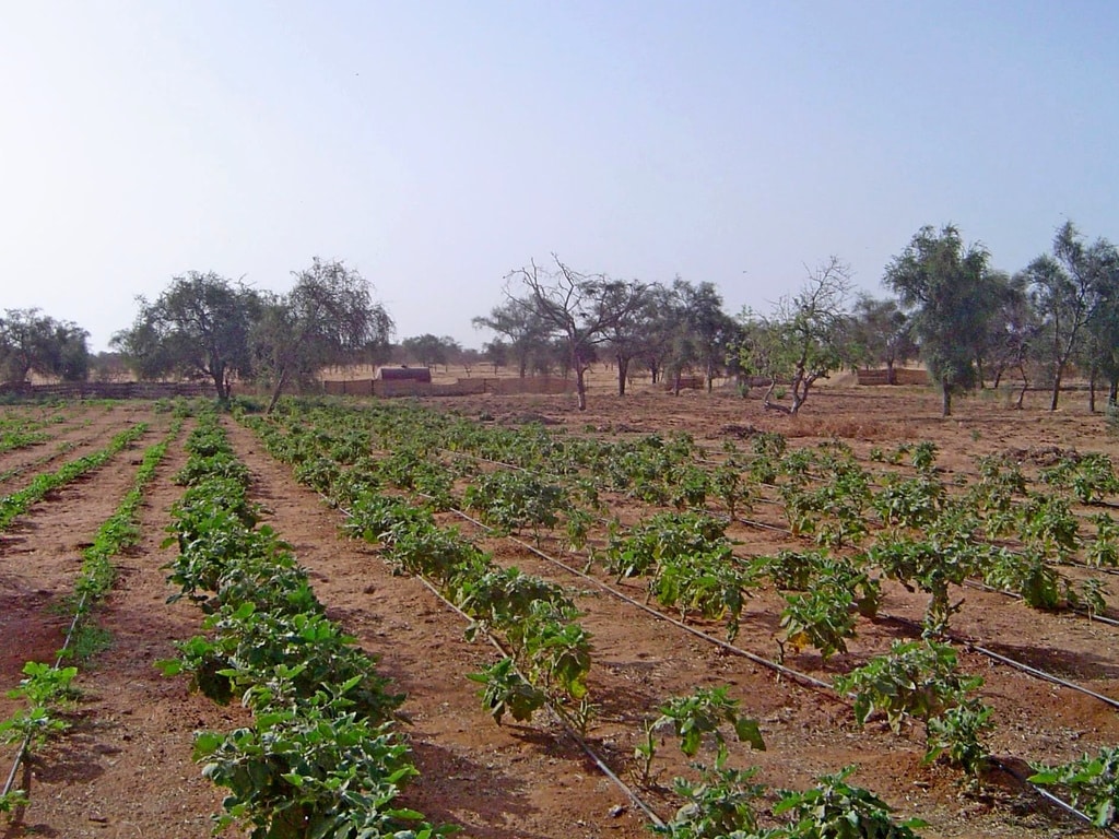 MOROCCO: AFD pledges €80M to support sustainable agriculture against climate change©Water Alternatives Photos