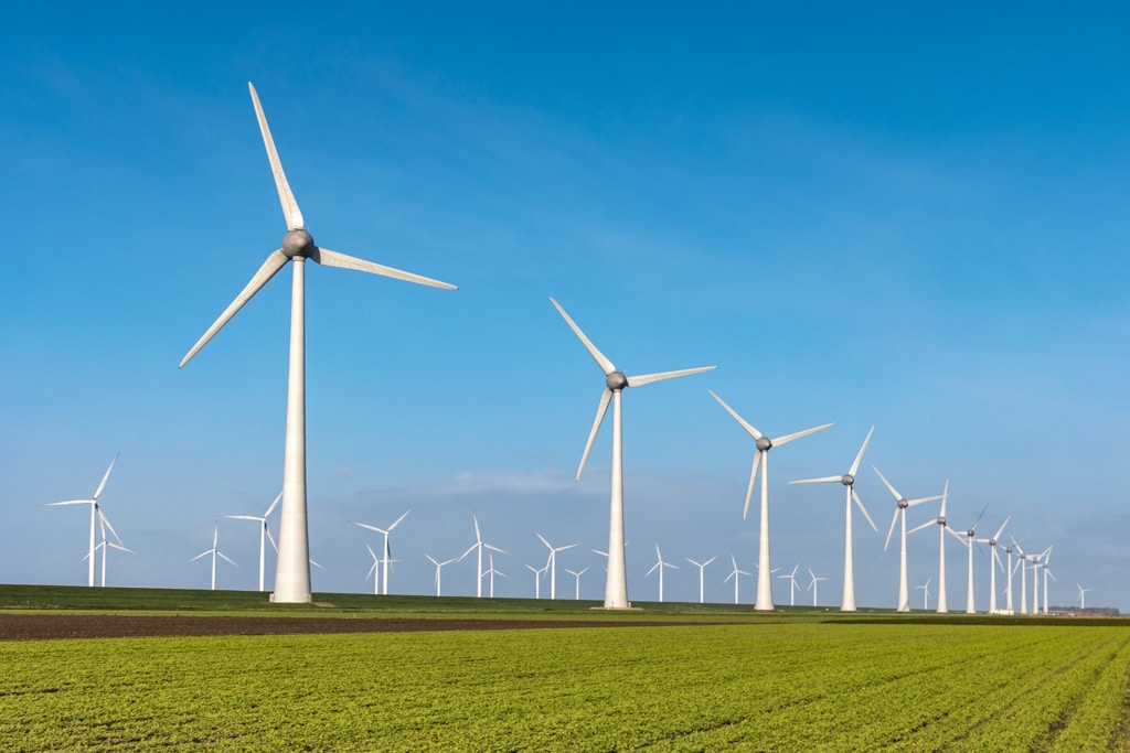 COP28 : le fonds « Altérra » mobilisera 250 Md$ pour l'action climatique d'ici à 2030©fokke baarssen/Shutterstock