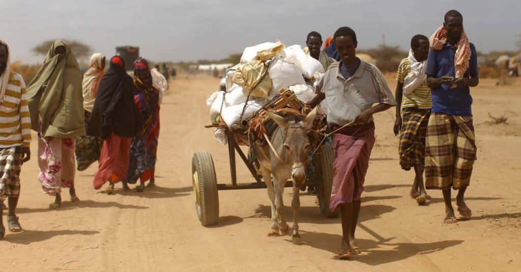 AFRIQUE : le climat provoque les plus graves crises humanitaires de 2024 ©mehmet ali poyraz