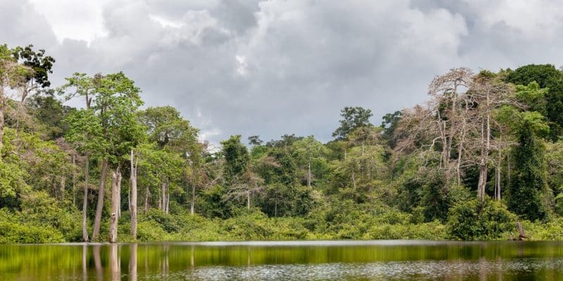 GABON: AfDB-supported study maps the country's water resources©Oleg Puchkov/Shutterstock