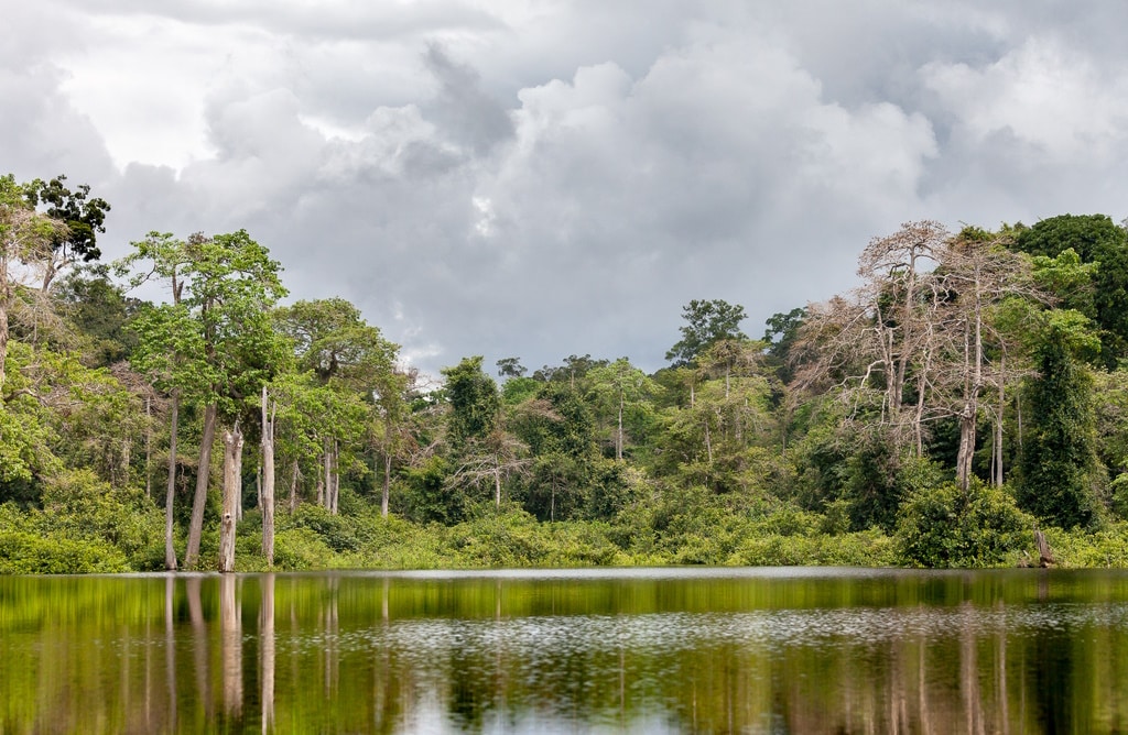 GABON: AfDB-supported study maps the country's water resources©Oleg Puchkov/Shutterstock