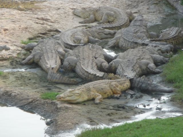 Here's the ecological potential of Ivory Coast's cities for CAN2024 tourists ©Government of Ivory Coast