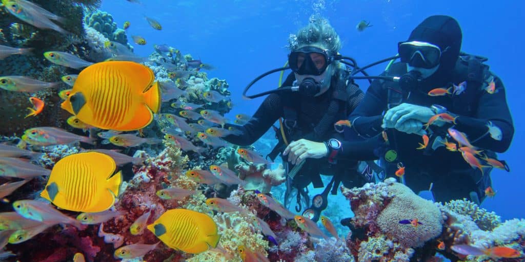 TUNISIA: Will illegal trafficking wipe out coral reserves? ©Tunatura/Shutterstock