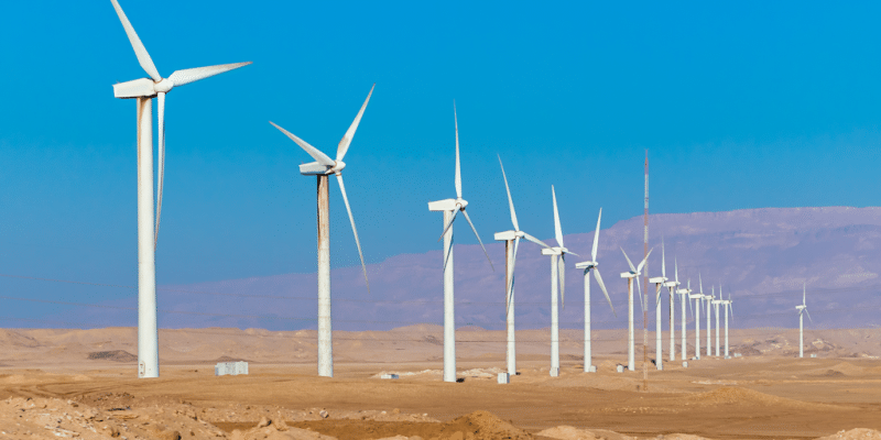 ÉGYPTE : le mégaprojet éolien de Jabal el Zeit (1,1 GW) reçoit l’aval des autorités © Andrej Privizer/Shutterstock