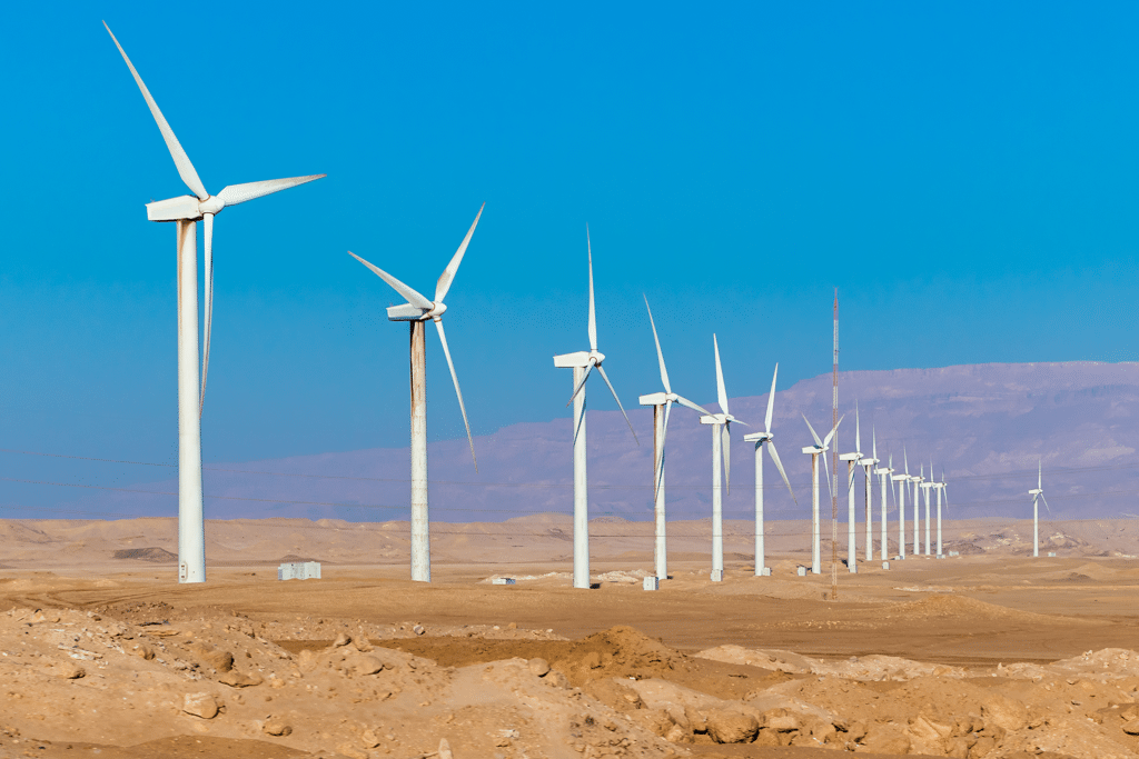 ÉGYPTE : le mégaprojet éolien de Jabal el Zeit (1,1 GW) reçoit l’aval des autorités © Andrej Privizer/Shutterstock