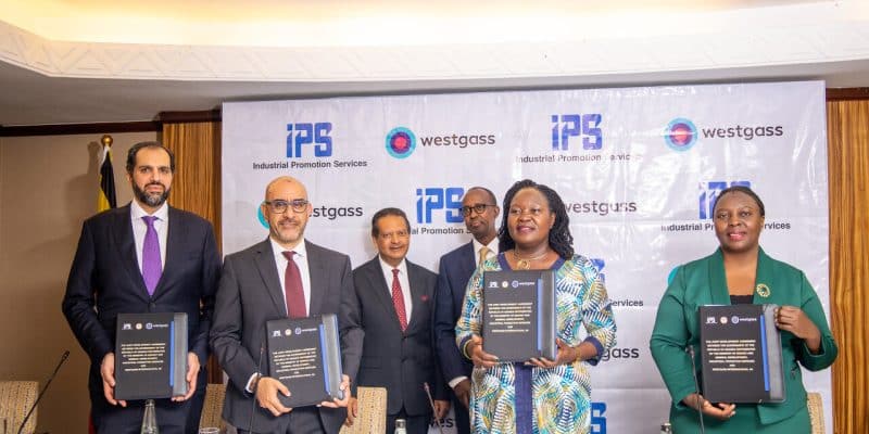 UGANDA: IPS and Westgass to build hydrogen-based green fertilizer plant©Westgass