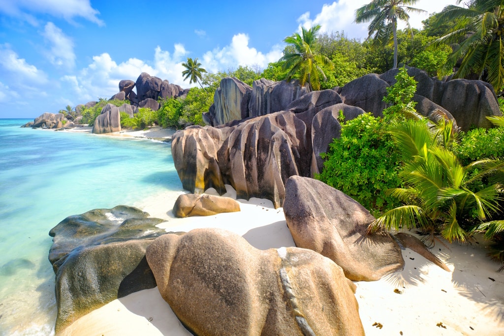 The Seychelles and South Africa in the Top40 countries with lush biodiversity © Dibrova/Shutterstock