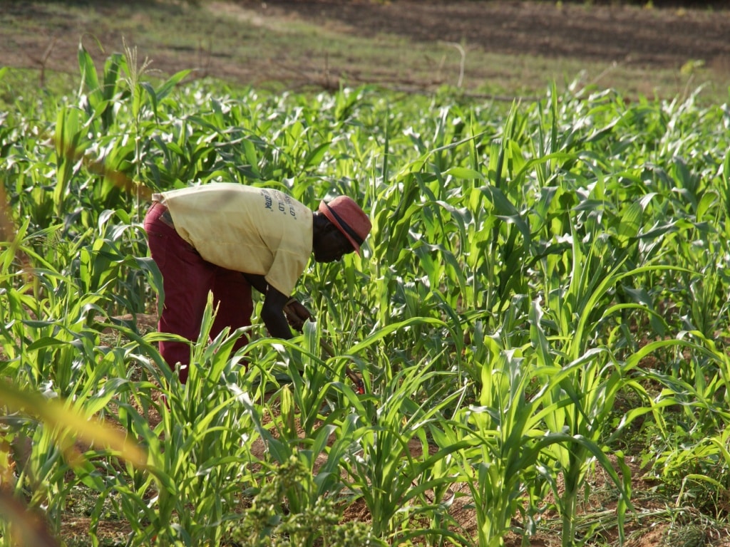 SENEGAL: $20m from the AfDB to improve access to water on agricultural farms©TG23/Shutterstock