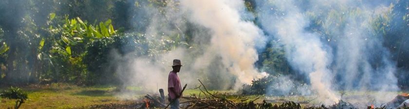 TANZANIE : la Banque mondiale suspend le financement de l'extension du parc de Ruaha© World Rainforest Movement /Shutterstock