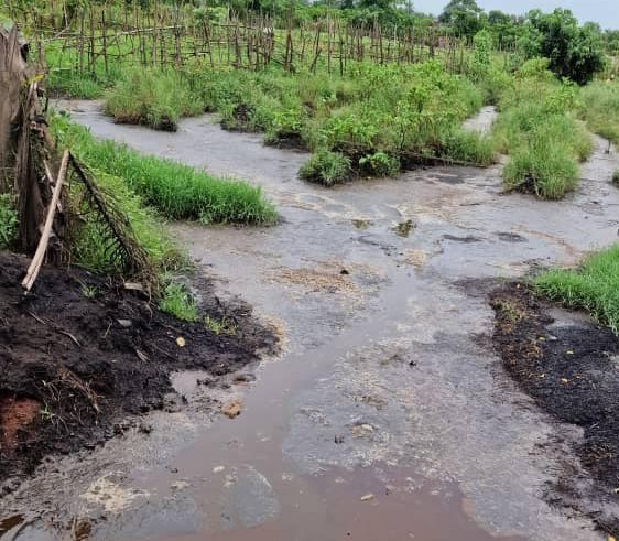 CÔTE D’IVOIRE : l’agro-industriel Adam, condamné pour pollution des cours d’eau au sud ©Ministère ivoirien de l’Environnement