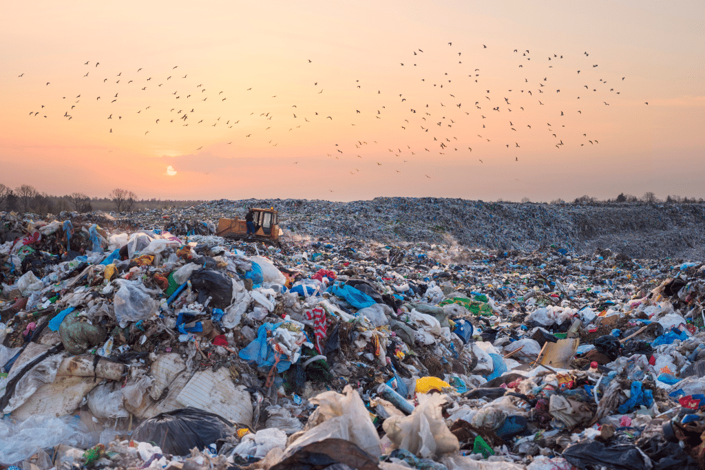 A joint venture will invest in waste-to-energy in Africa© Roman Mikhailiuk/Shutterstock