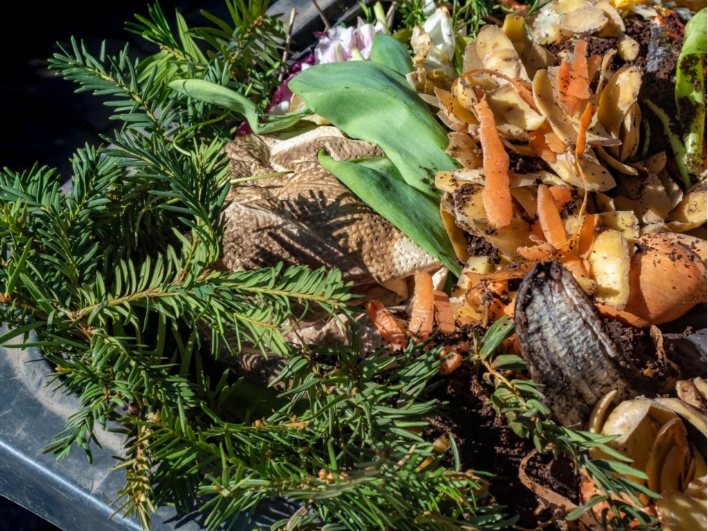 KENYA: organic waste will soon be collected using biodegradable bags©Mickis-Fotowelt/Shutterstock