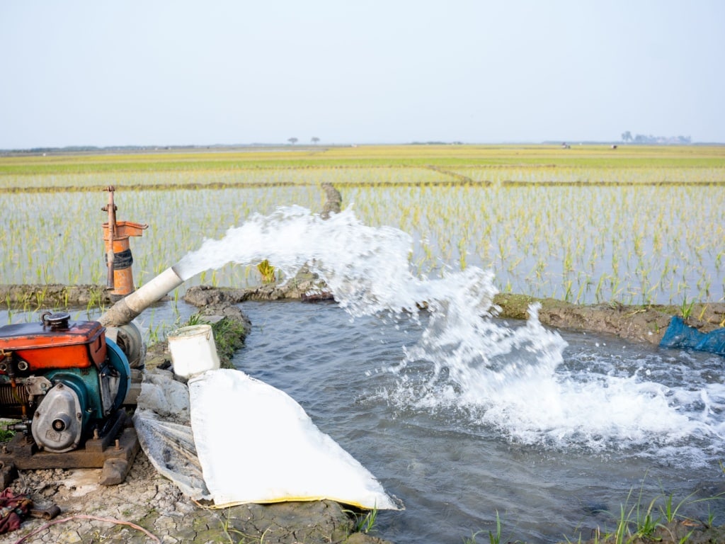 NIGER: a programme to irrigate 21,200 hectares of land by 2027 ©Abdul batin/Shutterstock