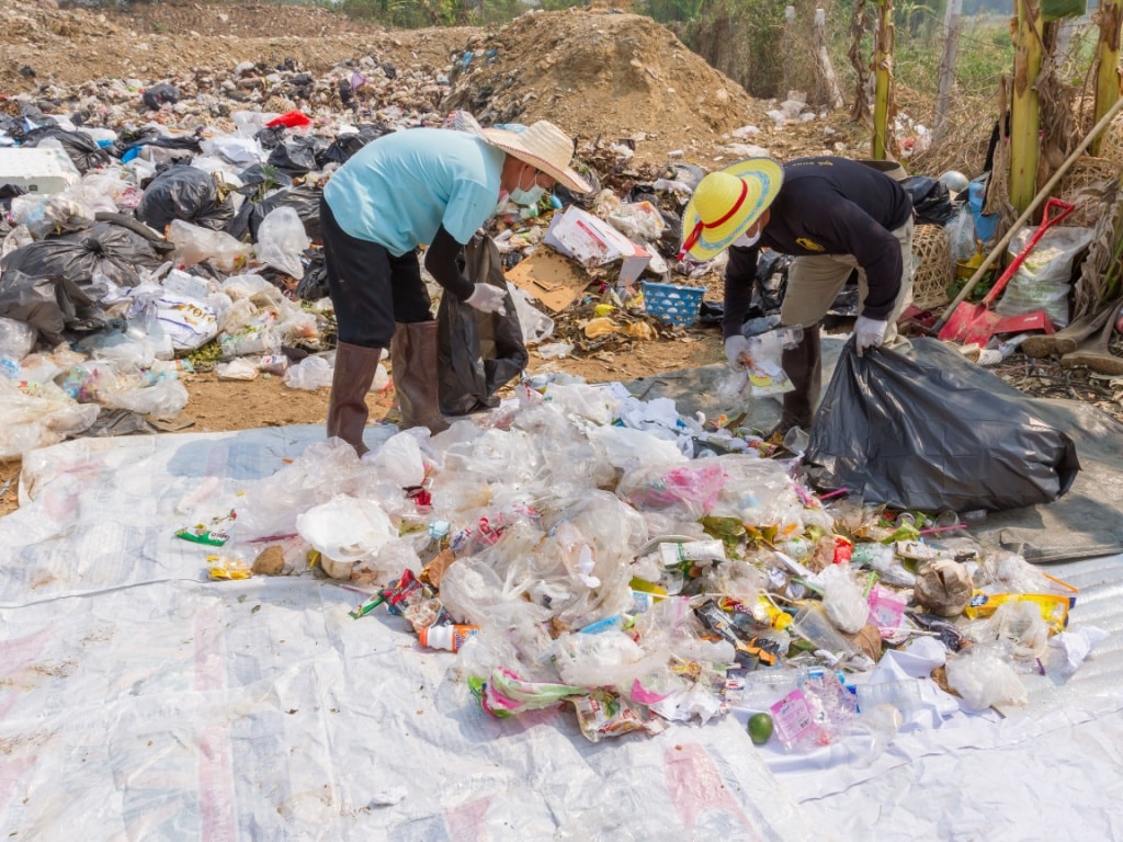 SEYCHELLES : l’appel du Pnue pour financer l’entrepreneuriat vert sur les déchets ©jointstar/Shutterstock