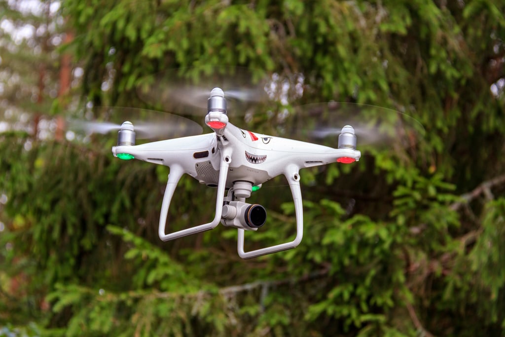 MAURITANIA/SENEGAL: 35 forestry officers trained in remote sensing by drone ©Studio MDF/Shutterstock