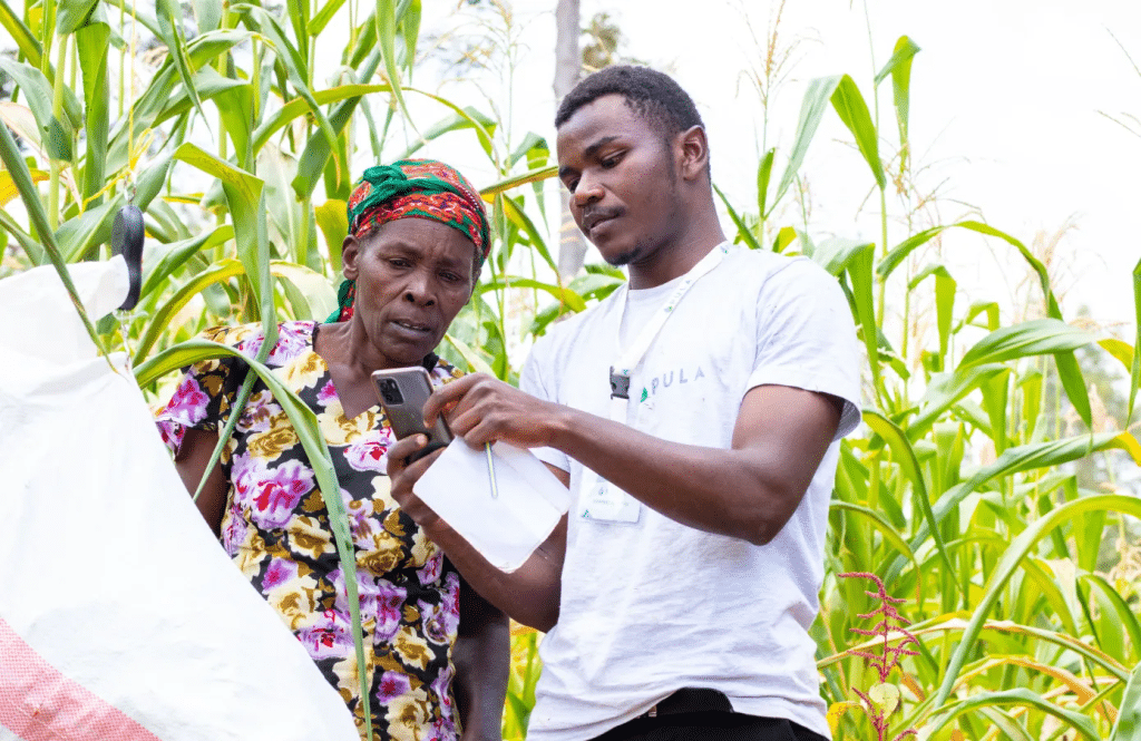 La start-up Pula lève 20 M$ pour l’assurance climatique des agriculteurs africains ©BlueOrchard