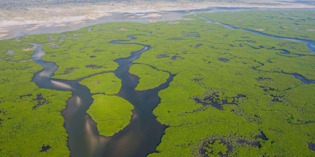 « Sauver les zones humides d'Afrique : un combat crucial pour la biodiversité » ©Curioso.Photography/Shutterstock