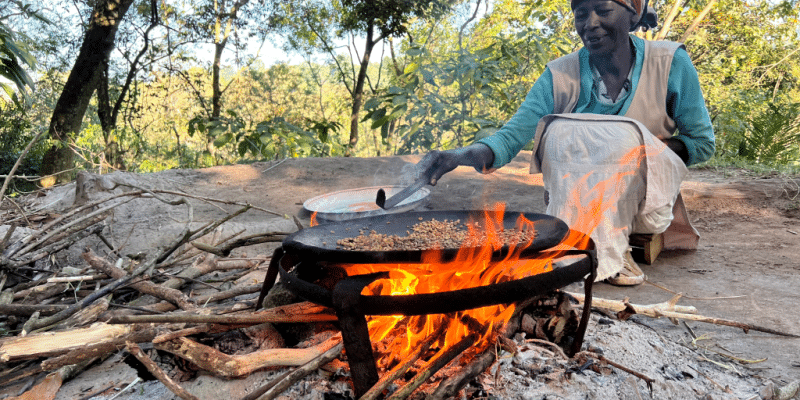 Quels financements innovants pour débloquer l’accès à la cuisson propre en Afrique ? © Eric Isselee/Shutterstock