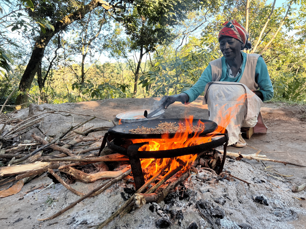 Quels financements innovants pour débloquer l’accès à la cuisson propre en Afrique ? © Eric Isselee/Shutterstock