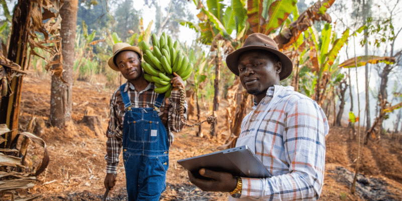 The BII and FND are injecting $30m into climate insurance technologies in Africa © Media Lens King/Shutterstock