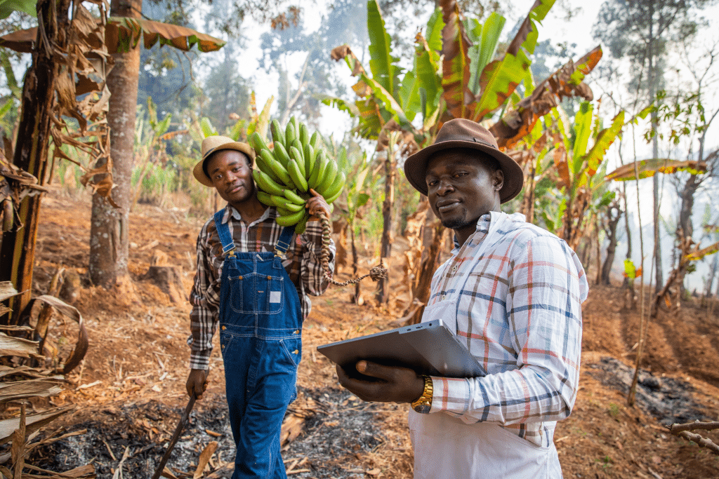 La BII et FND injectent 30 M$ dans les technologies d’assurance climatique en Afrique © Media Lens King/Shutterstock