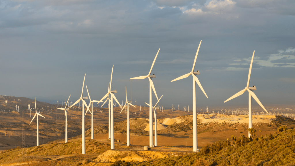 Engie and Scatec secure land for 8 GW of wind turbines in the Egyptian desert © Patrick Poendl/Shutterstock