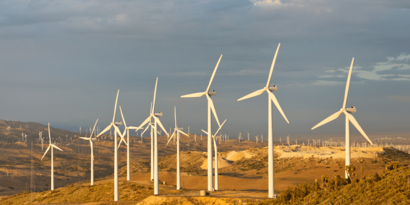 Engie et Scatec sécurisent du foncier pour 8 GW d’éoliennes dans le désert égyptien © Patrick Poendl/Shutterstock