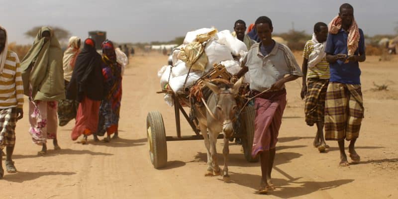 La SADC en quête de 5,5 Md$ pour la résilience à la sécheresse en Afrique australe ©mehmet ali poyraz