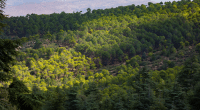 Gestion de l’eau et des zones forestières : la BAD accorde 84 M€ au Maroc © osprey world/Shutterstock