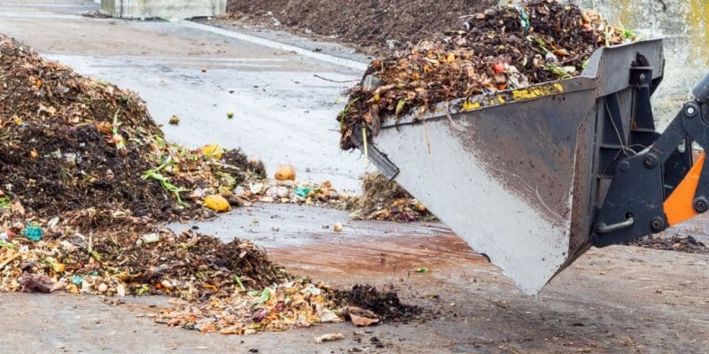 ALGÉRIE : 500 000 tonnes de déchets organiques par an seront valorisées dans 2 wilayas ©Andriana Syvanych /Shutterstock