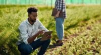 AFRICA: UNDP call for projects to provide green financing for 25 fintechs©PeopleImages.com - Yuri A/Shutterstock