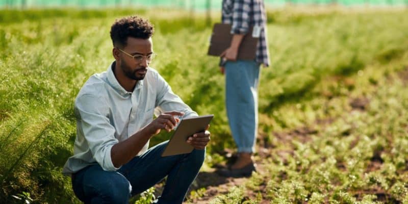 AFRICA: UNDP call for projects to provide green financing for 25 fintechs©PeopleImages.com - Yuri A/Shutterstock